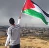 Did Palestine Not Birth Hamas?